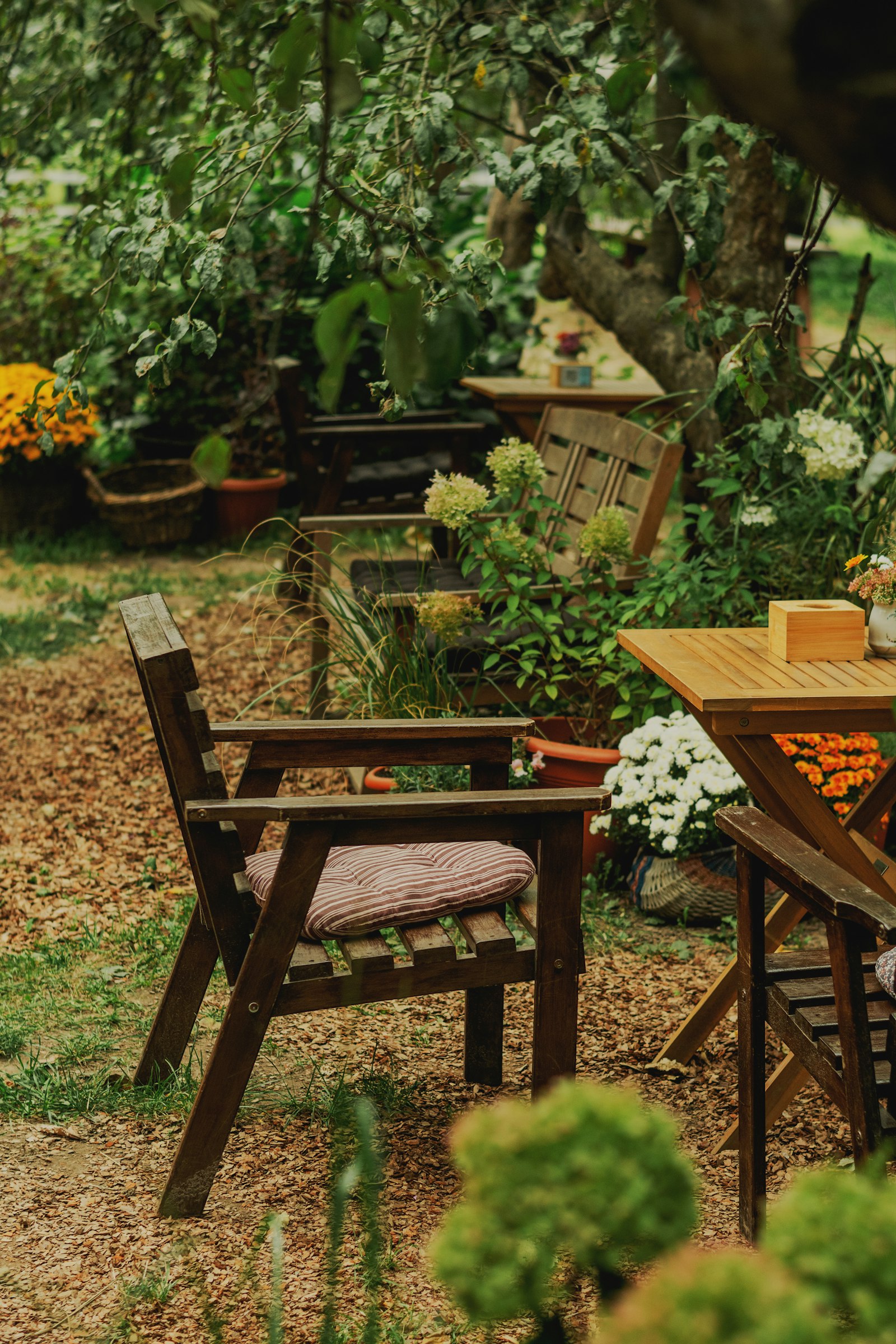 Garden furniture cleaning