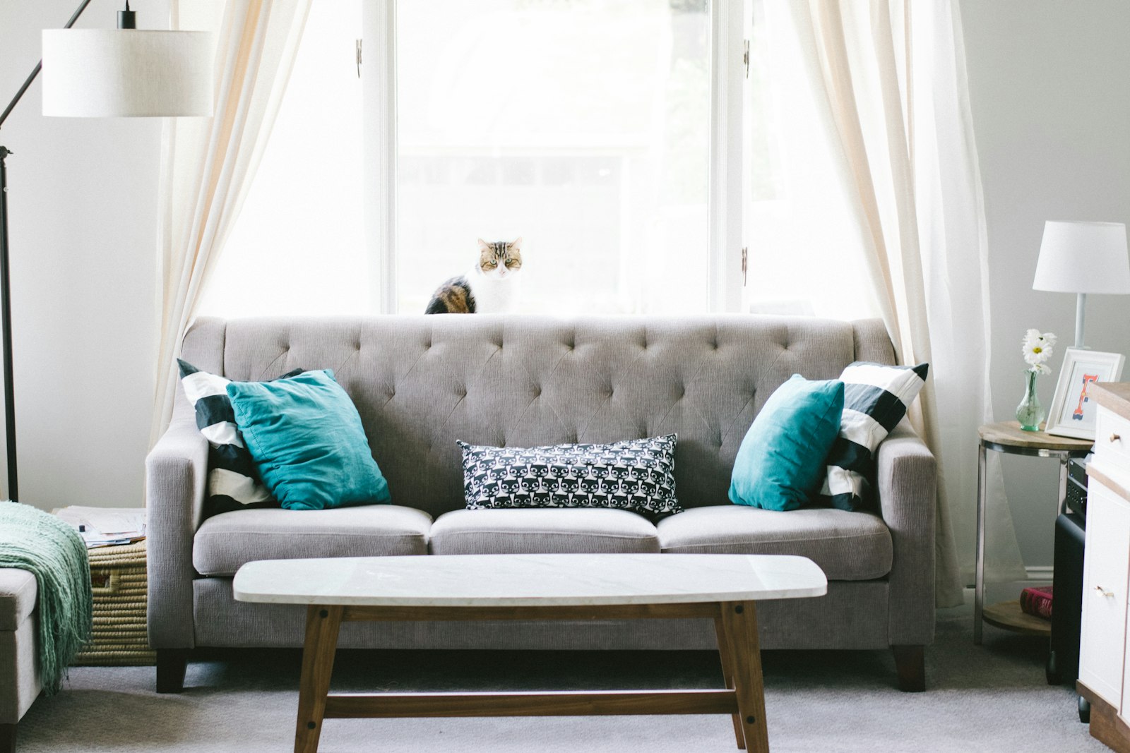 Luxe Shield Furniture Detailing